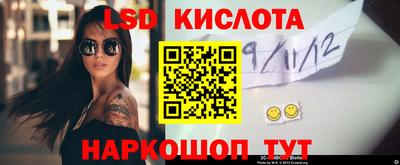 шишки Славгород
