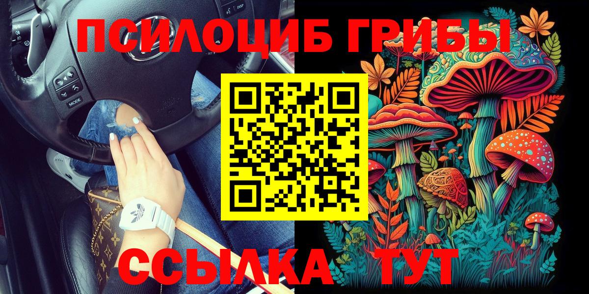 Псилоцибиновые грибы GOLDEN TEACHER  Псилоцибиновые грибы мицелий  Вход с VPN  Нижнеудинск 